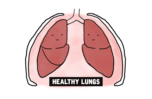 Healthy lung